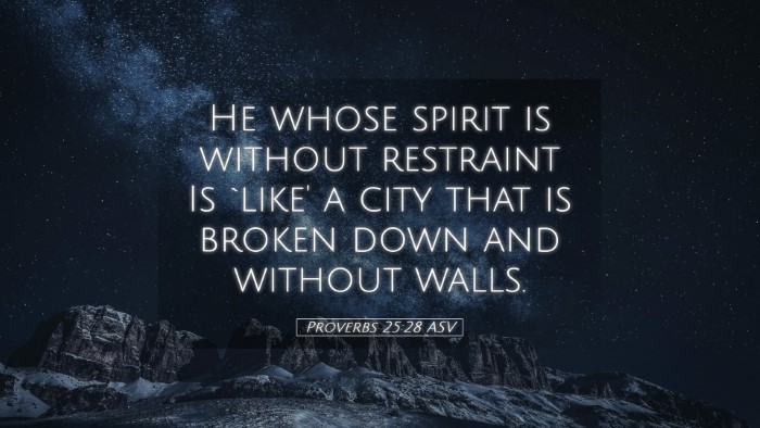 Picture 05 - Proverbs 25:28 ASV Desktop Wallpaper - He whose spirit is without restraint Is `like' a - Desktop Bible Verse Wallpaper