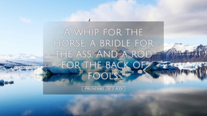 Picture 05 - Proverbs 26:3 ASV Desktop Wallpaper - A whip for the horse, a bridle for the ass, And a - Desktop Bible Verse Wallpaper