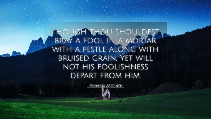 Picture 05 - Proverbs 27:22 ASV Desktop Wallpaper - Though thou shouldest bray a fool in a mortar - Desktop Bible Verse Wallpaper
