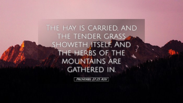 Picture 05 - Proverbs 27:25 ASV Desktop Wallpaper - The hay is carried, and the tender grass showeth - Desktop Bible Verse Wallpaper