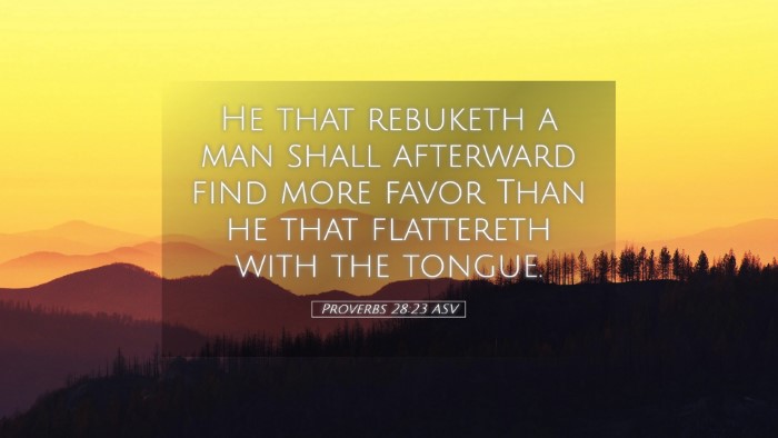 Picture 05 - Proverbs 28:23 ASV Desktop Wallpaper - He that rebuketh a man shall afterward find more - Desktop Bible Verse Wallpaper