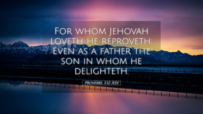 Picture 05 - Proverbs 3:12 ASV Desktop Wallpaper - For whom Jehovah loveth he reproveth; Even as a - Desktop Bible Verse Wallpaper