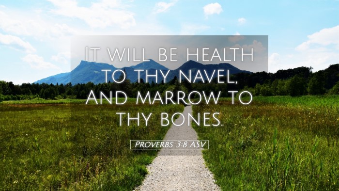 Picture 05 - Proverbs 3:8 ASV Desktop Wallpaper - It will be health to thy navel, And marrow to thy - Desktop Bible Verse Wallpaper