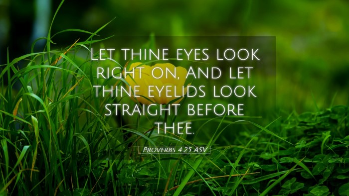 Picture 05 - Proverbs 4:25 ASV Desktop Wallpaper - Let thine eyes look right on, And let thine - Desktop Bible Verse Wallpaper