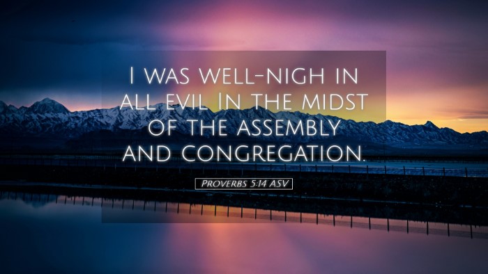Picture 05 - Proverbs 5:14 ASV Desktop Wallpaper - I was well-nigh in all evil In the midst of the - Desktop Bible Verse Wallpaper