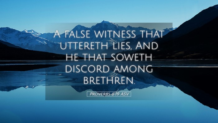 Picture 05 - Proverbs 6:19 ASV Desktop Wallpaper - A false witness that uttereth lies, And he that - Desktop Bible Verse Wallpaper