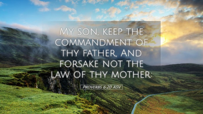 Picture 05 - Proverbs 6:20 ASV Desktop Wallpaper - My son, keep the commandment of thy father, And - Desktop Bible Verse Wallpaper