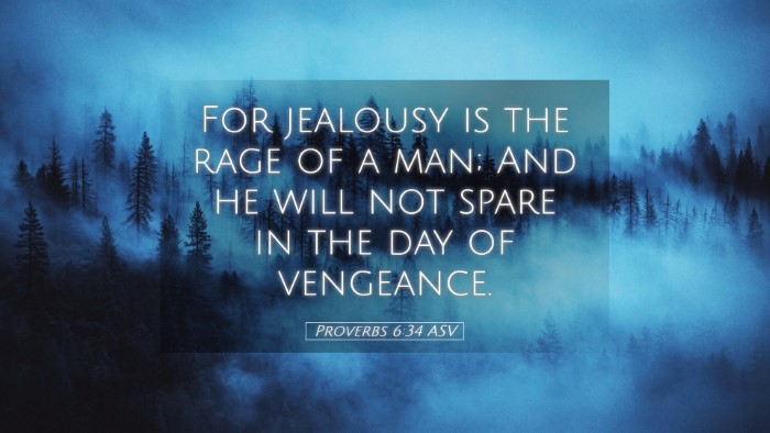 Picture 05 - Proverbs 6:34 ASV Desktop Wallpaper - For jealousy is the rage of a man; And he will - Desktop Bible Verse Wallpaper