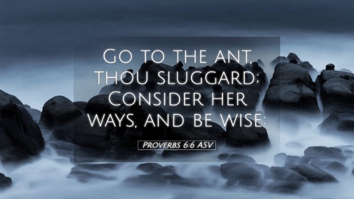 Picture 05 - Proverbs 6:6 ASV Desktop Wallpaper - Go to the ant, thou sluggard; Consider her ways, - Desktop Bible Verse Wallpaper