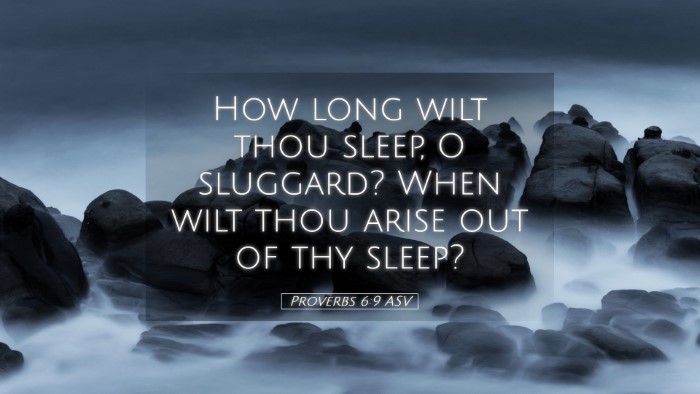 Picture 05 - Proverbs 6:9 ASV Desktop Wallpaper - How long wilt thou sleep, O sluggard? When wilt - Desktop Bible Verse Wallpaper