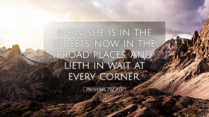 Picture 05 - Proverbs 7:12 ASV Desktop Wallpaper - Now she is in the streets, now in the broad - Desktop Bible Verse Wallpaper