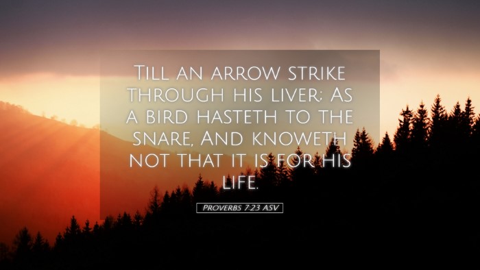 Picture 05 - Proverbs 7:23 ASV Desktop Wallpaper - Till an arrow strike through his liver; As a bird - Desktop Bible Verse Wallpaper