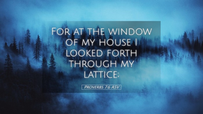 Picture 05 - Proverbs 7:6 ASV Desktop Wallpaper - For at the window of my house I looked forth - Desktop Bible Verse Wallpaper