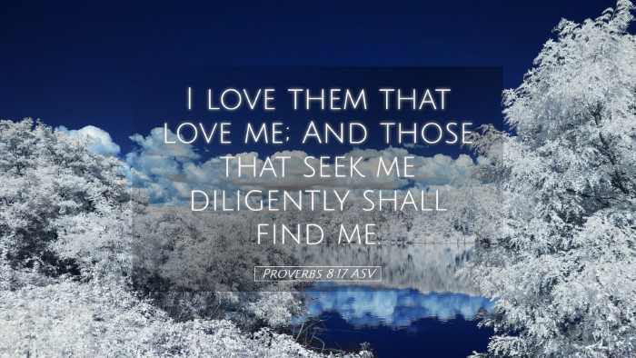 Picture 05 - Proverbs 8:17 ASV Desktop Wallpaper - I love them that love me; And those that seek me - Desktop Bible Verse Wallpaper