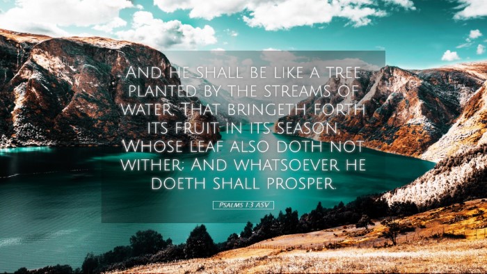 Picture 05 - Psalms 1:3 ASV Desktop Wallpaper - And he shall be like a tree planted by the - Desktop Bible Verse Wallpaper