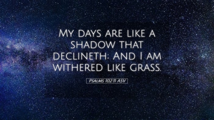 Picture 05 - Psalms 102:11 ASV Desktop Wallpaper - My days are like a shadow that declineth; And I - Desktop Bible Verse Wallpaper