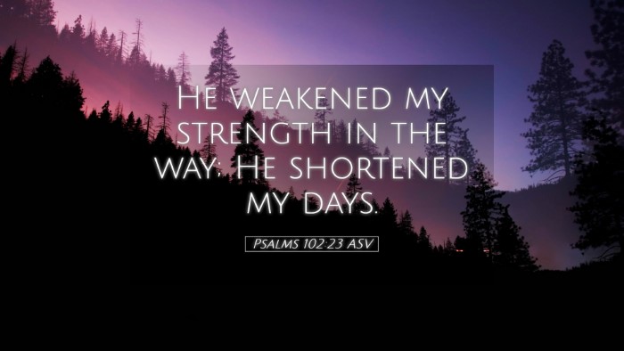 Picture 05 - Psalms 102:23 ASV Desktop Wallpaper - He weakened my strength in the way; He shortened - Desktop Bible Verse Wallpaper