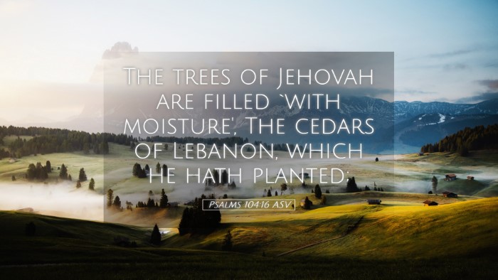 Picture 05 - Psalms 104:16 ASV Desktop Wallpaper - The trees of Jehovah are filled `with moisture', - Desktop Bible Verse Wallpaper