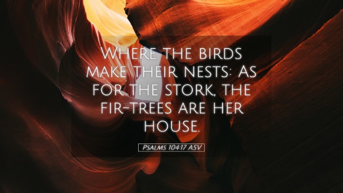 Picture 05 - Psalms 104:17 ASV Desktop Wallpaper - Where the birds make their nests: As for the - Desktop Bible Verse Wallpaper