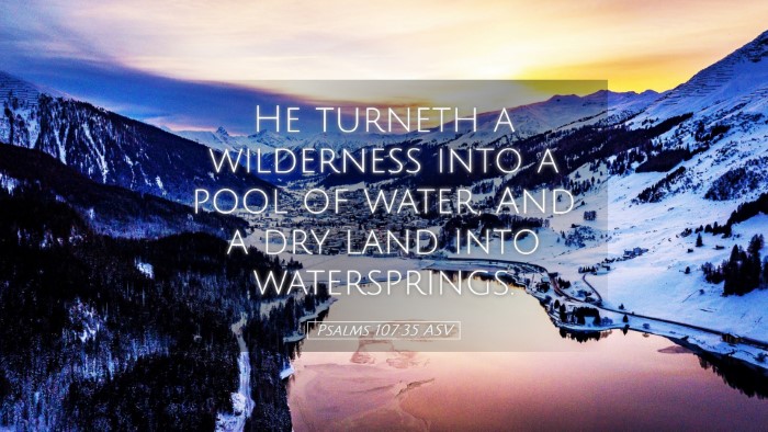 Picture 05 - Psalms 107:35 ASV Desktop Wallpaper - He turneth a wilderness into a pool of water, And - Desktop Bible Verse Wallpaper
