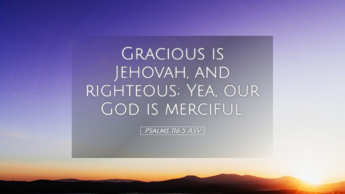 Picture 05 - Psalms 116:5 ASV Desktop Wallpaper - Gracious is Jehovah, and righteous; Yea, our God - Desktop Bible Verse Wallpaper