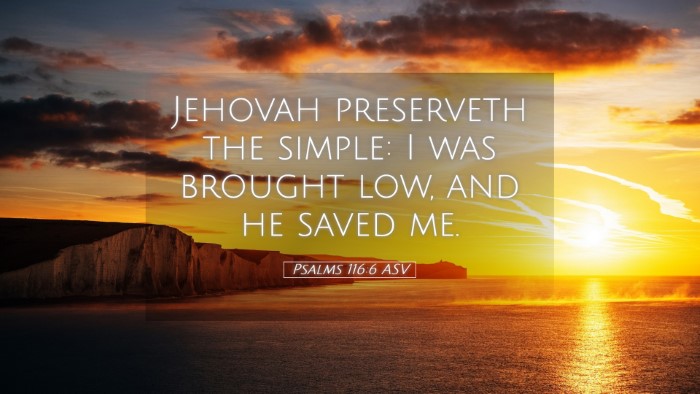 Picture 05 - Psalms 116:6 ASV Desktop Wallpaper - Jehovah preserveth the simple: I was brought low, - Desktop Bible Verse Wallpaper