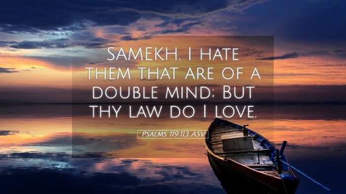 Picture 05 - Psalms 119:113 ASV Desktop Wallpaper - SAMEKH. I hate them that are of a double mind; - Desktop Bible Verse Wallpaper