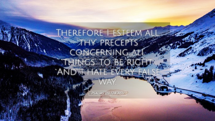 Picture 05 - Psalms 119:128 ASV Desktop Wallpaper - Therefore I esteem all `thy' precepts concerning - Desktop Bible Verse Wallpaper
