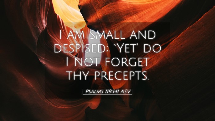 Picture 05 - Psalms 119:141 ASV Desktop Wallpaper - I am small and despised; `Yet' do I not forget - Desktop Bible Verse Wallpaper