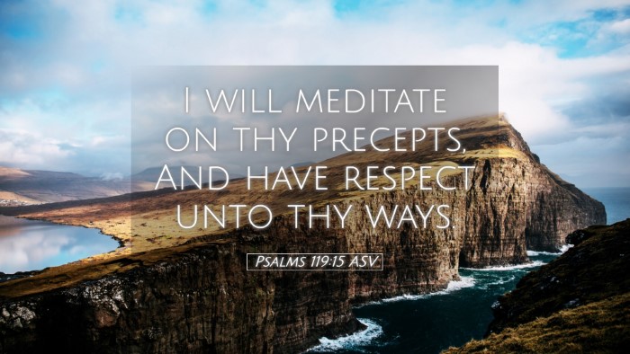 Picture 05 - Psalms 119:15 ASV Desktop Wallpaper - I will meditate on thy precepts, And have respect - Desktop Bible Verse Wallpaper