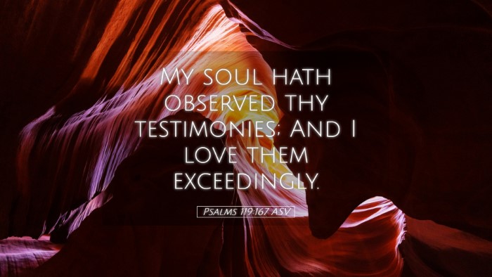 Picture 05 - Psalms 119:167 ASV Desktop Wallpaper - My soul hath observed thy testimonies; And I love - Desktop Bible Verse Wallpaper