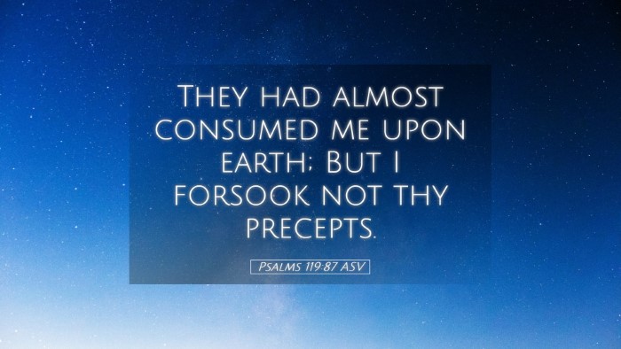 Picture 05 - Psalms 119:87 ASV Desktop Wallpaper - They had almost consumed me upon earth; But I - Desktop Bible Verse Wallpaper
