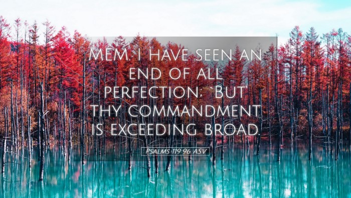 Picture 05 - Psalms 119:96 ASV Desktop Wallpaper - MEM. I have seen an end of all perfection; `But' - Desktop Bible Verse Wallpaper