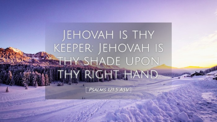 Picture 05 - Psalms 121:5 ASV Desktop Wallpaper - Jehovah is thy keeper: Jehovah is thy shade upon - Desktop Bible Verse Wallpaper
