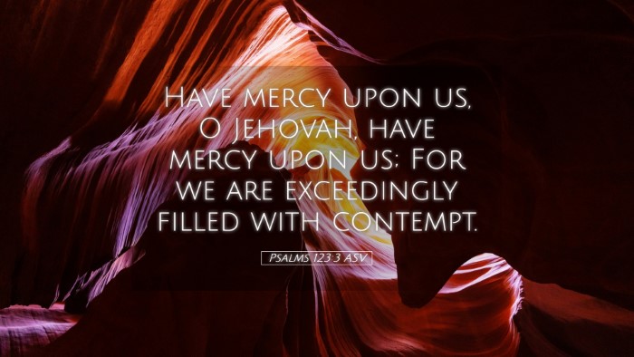 Picture 05 - Psalms 123:3 ASV Desktop Wallpaper - Have mercy upon us, O Jehovah, have mercy upon - Desktop Bible Verse Wallpaper