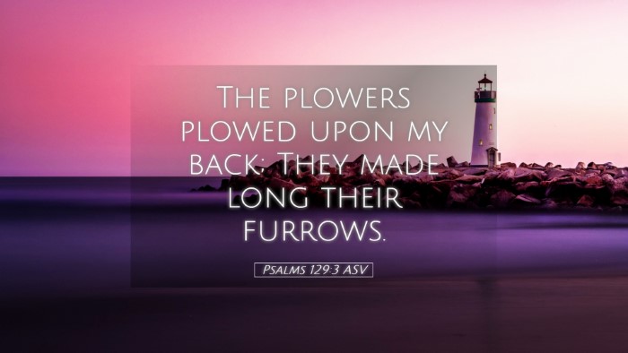 Picture 05 - Psalms 129:3 ASV Desktop Wallpaper - The plowers plowed upon my back; They made long - Desktop Bible Verse Wallpaper