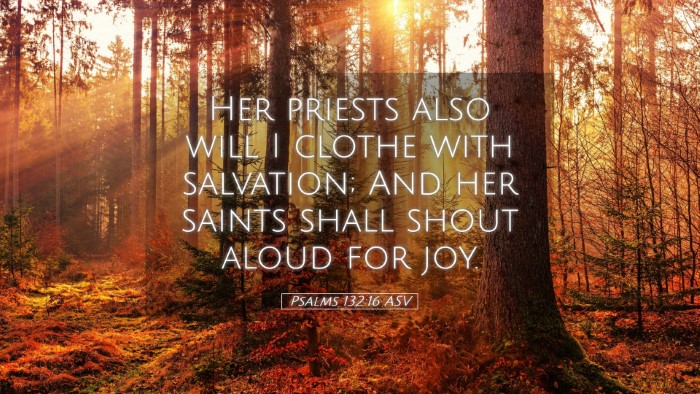 Picture 05 - Psalms 132:16 ASV Desktop Wallpaper - Her priests also will I clothe with salvation; - Desktop Bible Verse Wallpaper
