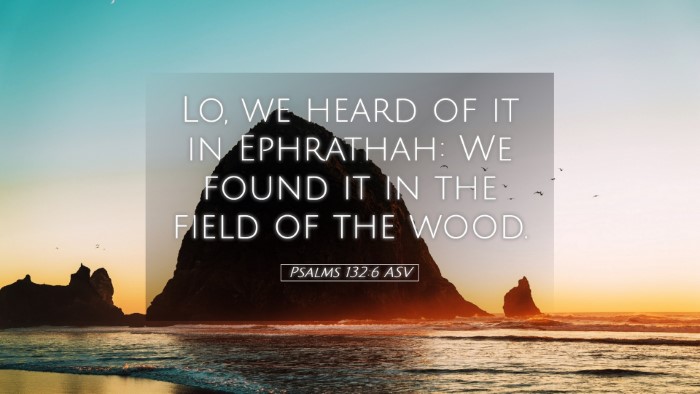 Picture 05 - Psalms 132:6 ASV Desktop Wallpaper - Lo, we heard of it in Ephrathah: We found it in - Desktop Bible Verse Wallpaper