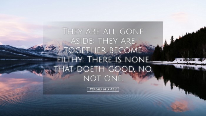 Picture 05 - Psalms 14:3 ASV Desktop Wallpaper - They are all gone aside; they are together become - Desktop Bible Verse Wallpaper