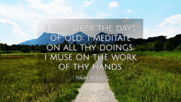 Picture 05 - Psalms 143:5 ASV Desktop Wallpaper - I remember the days of old; I meditate on all thy - Desktop Bible Verse Wallpaper