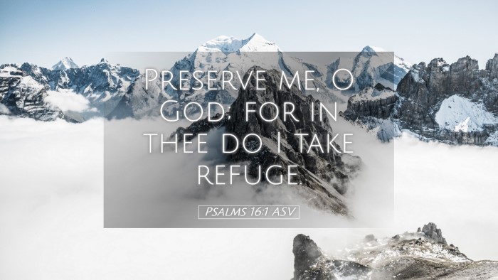 Picture 05 - Psalms 16:1 ASV Desktop Wallpaper - Preserve me, O God; for in thee do I take - Desktop Bible Verse Wallpaper