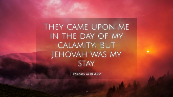 Picture 05 - Psalms 18:18 ASV Desktop Wallpaper - They came upon me in the day of my calamity; But - Desktop Bible Verse Wallpaper