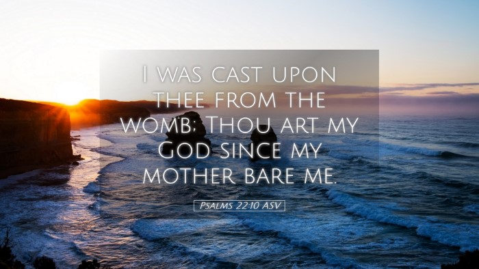 Picture 05 - Psalms 22:10 ASV Desktop Wallpaper - I was cast upon thee from the womb; Thou art my - Desktop Bible Verse Wallpaper