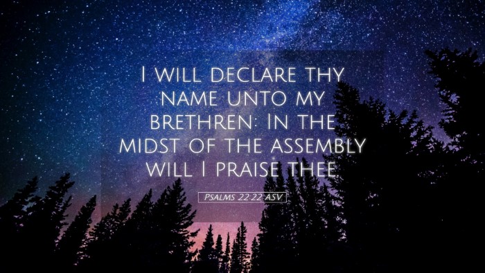 Picture 05 - Psalms 22:22 ASV Desktop Wallpaper - I will declare thy name unto my brethren: In the - Desktop Bible Verse Wallpaper