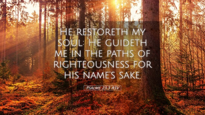 Picture 05 - Psalms 23:3 ASV Desktop Wallpaper - He restoreth my soul: He guideth me in the paths - Desktop Bible Verse Wallpaper