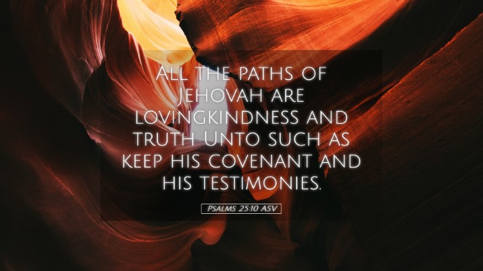 Picture 05 - Psalms 25:10 ASV Desktop Wallpaper - All the paths of Jehovah are lovingkindness and - Desktop Bible Verse Wallpaper