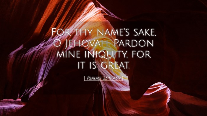 Picture 05 - Psalms 25:11 ASV Desktop Wallpaper - For thy name's sake, O Jehovah, Pardon mine - Desktop Bible Verse Wallpaper
