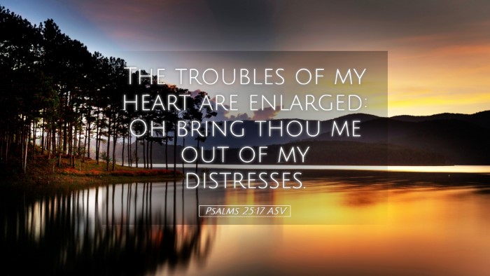 Picture 05 - Psalms 25:17 ASV Desktop Wallpaper - The troubles of my heart are enlarged: Oh bring - Desktop Bible Verse Wallpaper