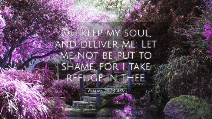 Picture 05 - Psalms 25:20 ASV Desktop Wallpaper - Oh keep my soul, and deliver me: Let me not be - Desktop Bible Verse Wallpaper