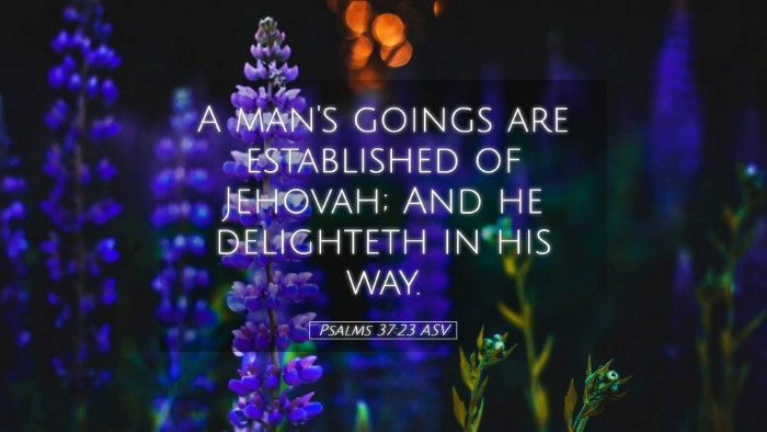Picture 05 - Psalms 37:23 ASV Desktop Wallpaper - A man's goings are established of Jehovah; And he - Desktop Bible Verse Wallpaper